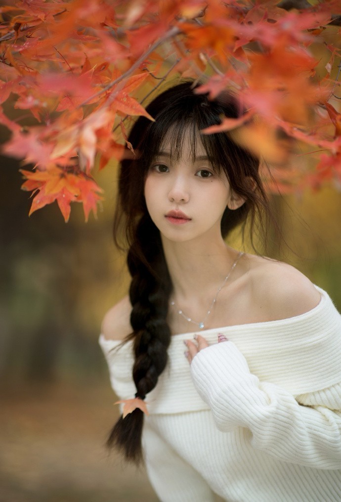 日常·连载精选 第11页